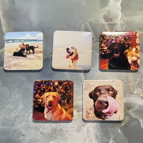 Picture Perfect Magnetix Custom Square Magnets4