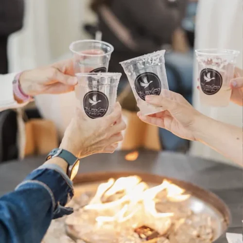 The Loosey Goosey Mobile Bar Mocktails3